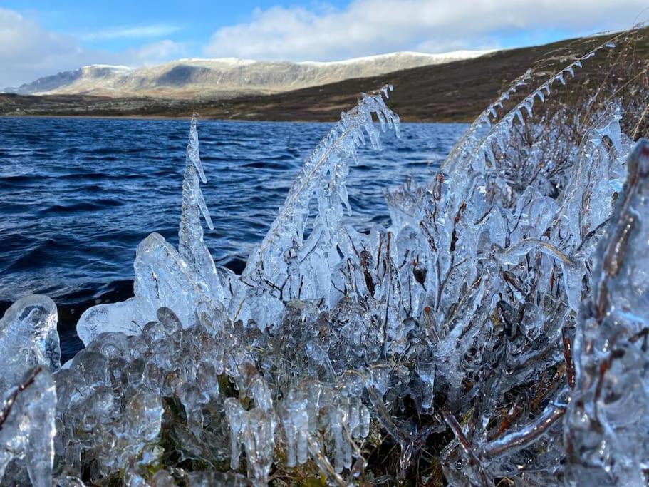 Delikat Hytte Omgitt Av Hallingdals Vakre Fjell Al Kültér fotó
